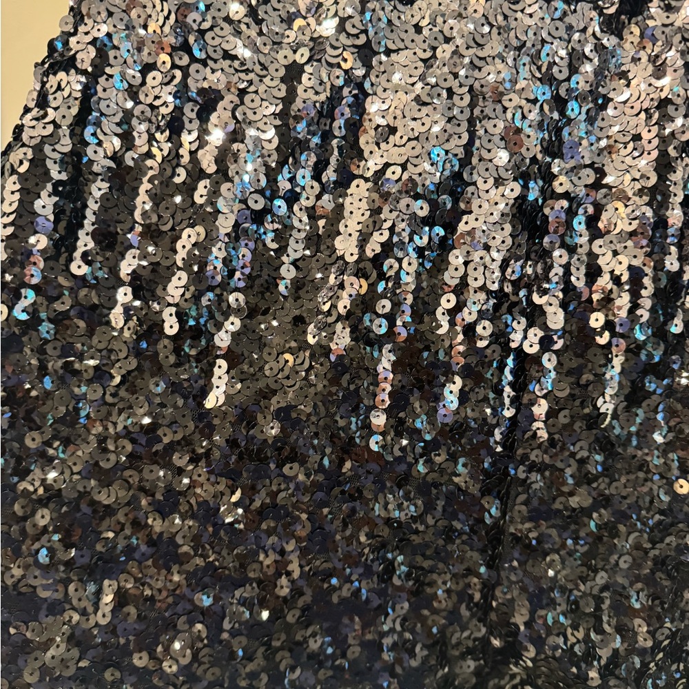 Sequin Embellished Skirt